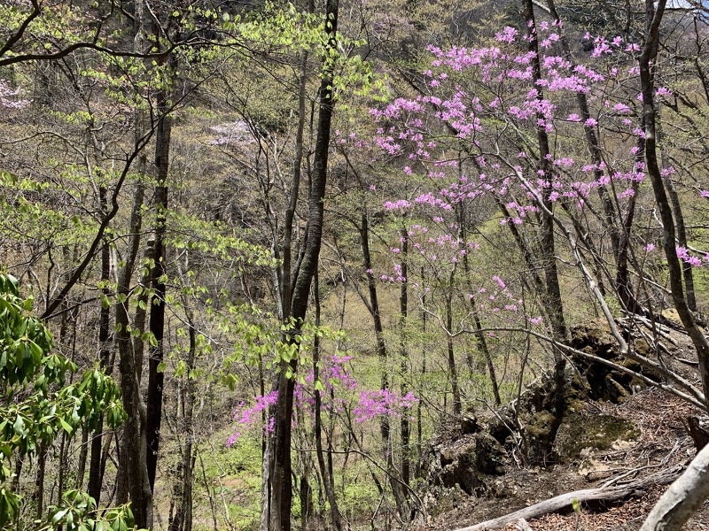 両神山・登山