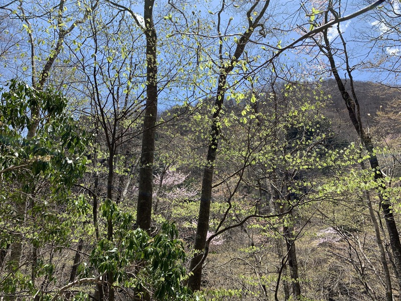 両神山・登山