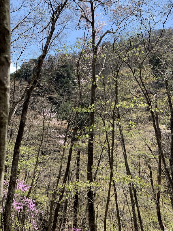 両神山・登山