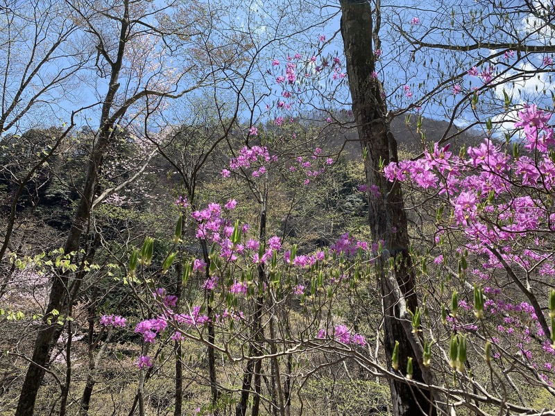 両神山・登山