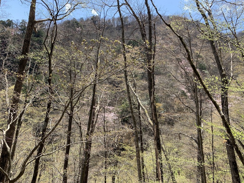 両神山・登山