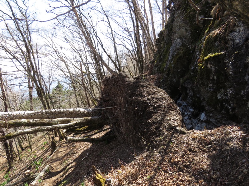 両神山・登山