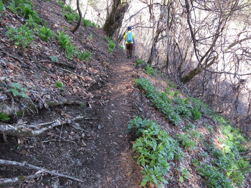 両神山・登山