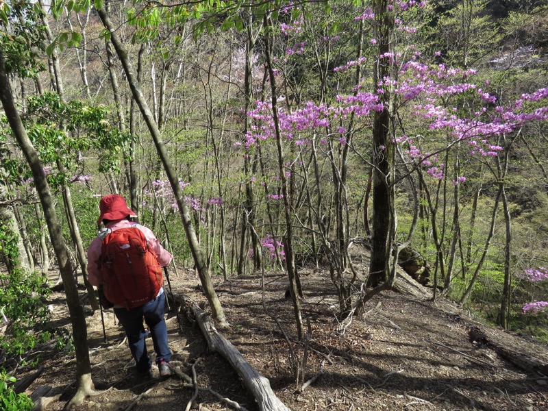 両神山・登山