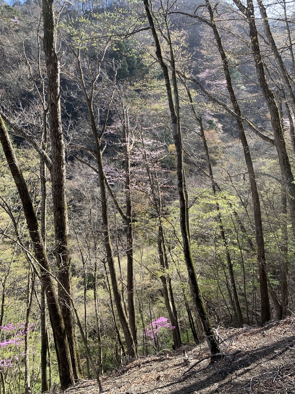 両神山・登山