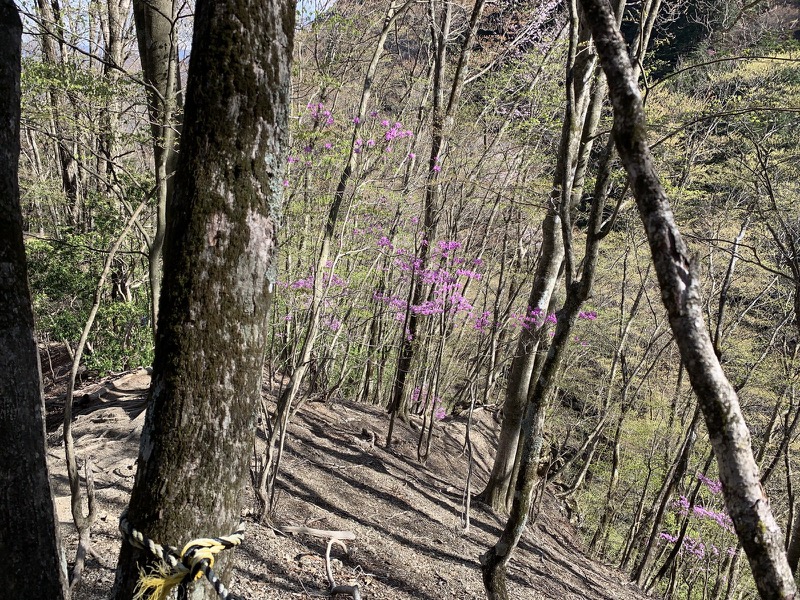 両神山・登山