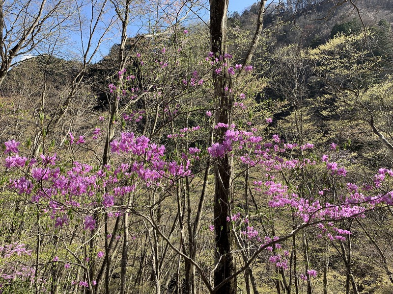 両神山・登山