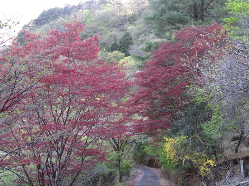 両神山・登山