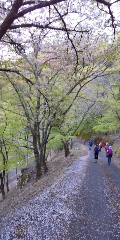 両神山・登山