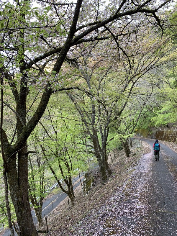 両神山・登山