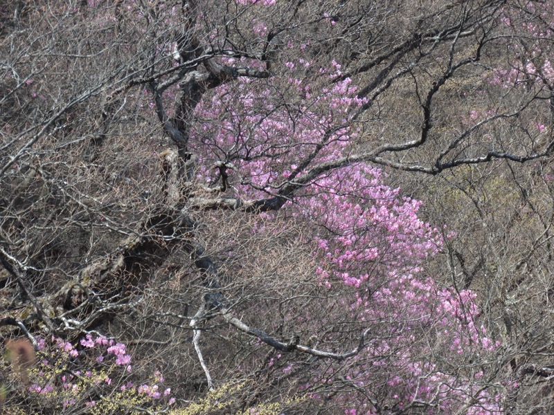 半月山登山