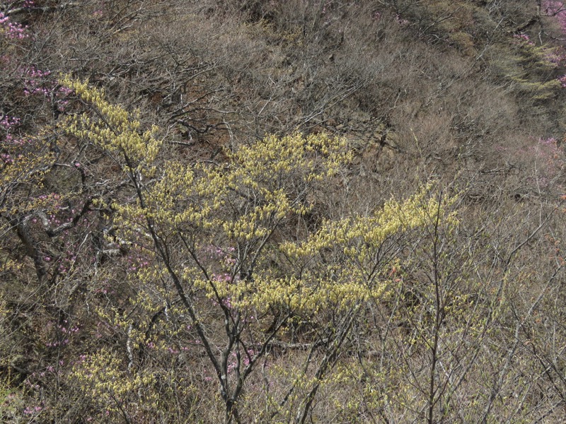 半月山登山