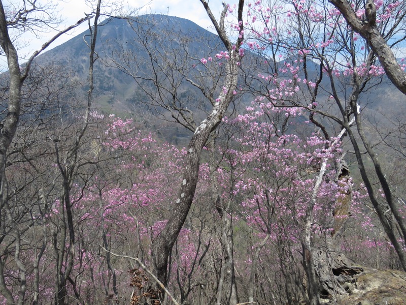 半月山登山