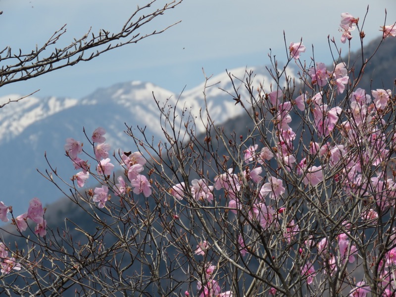 半月山登山