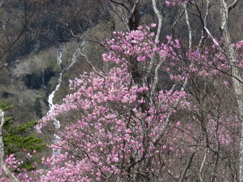 半月山登山