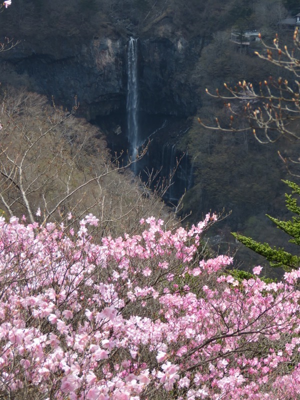 半月山登山