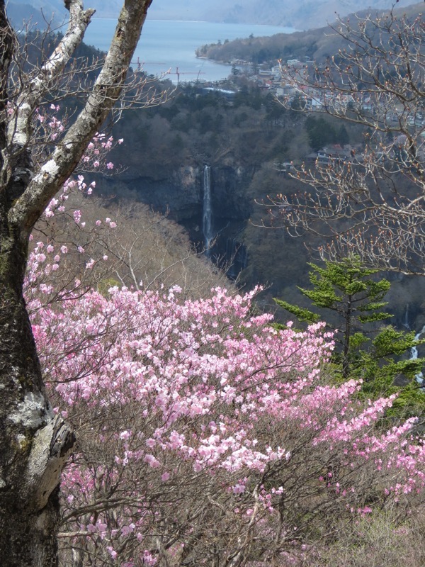 半月山登山