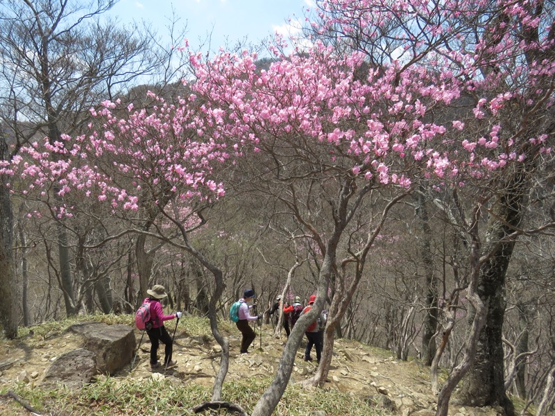 半月山登山