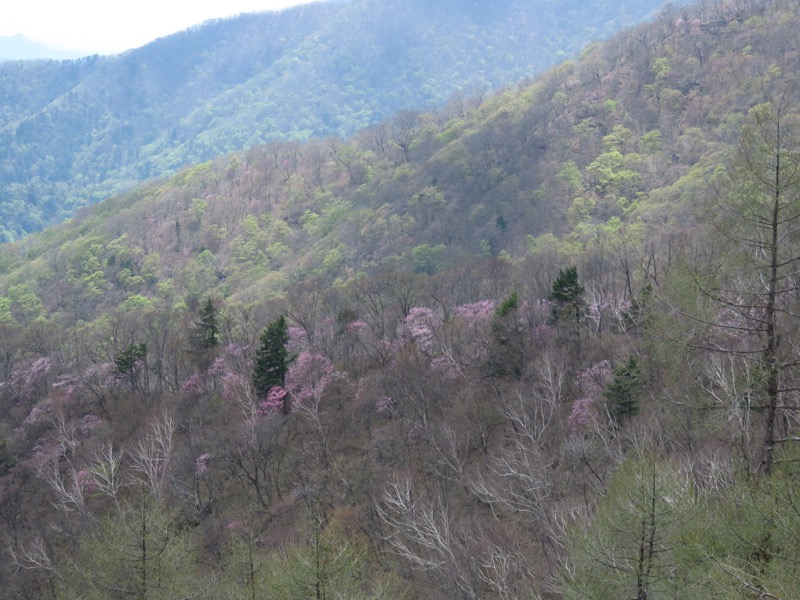 半月山登山