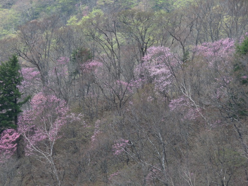 半月山登山