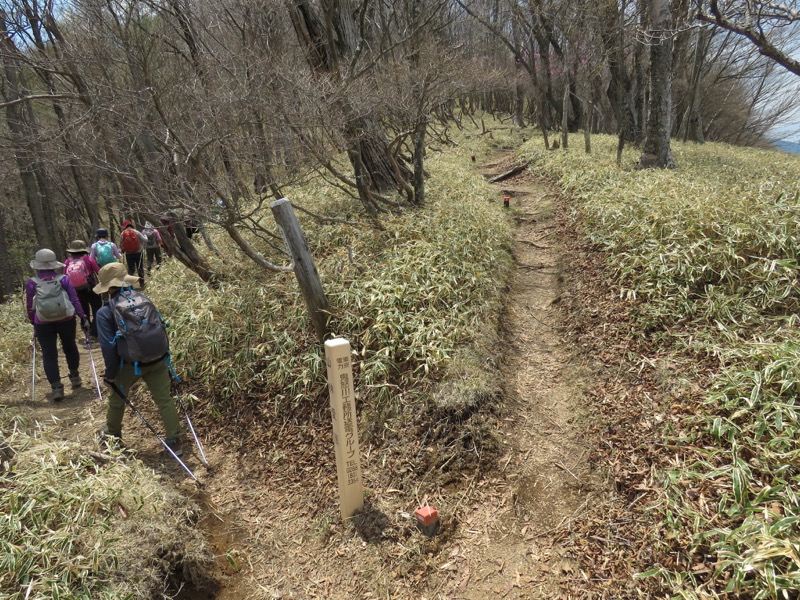 半月山登山