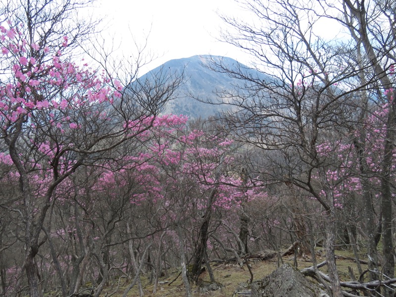 半月山登山