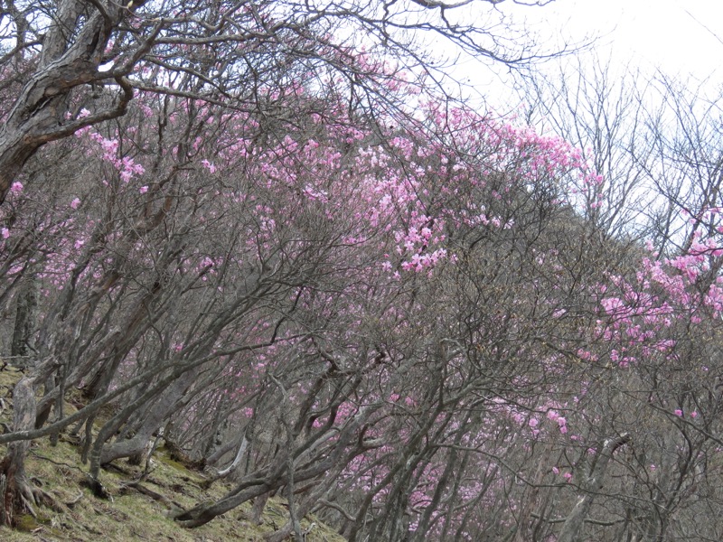 半月山登山