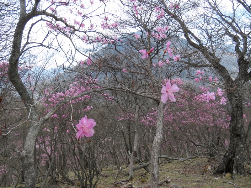 半月山登山