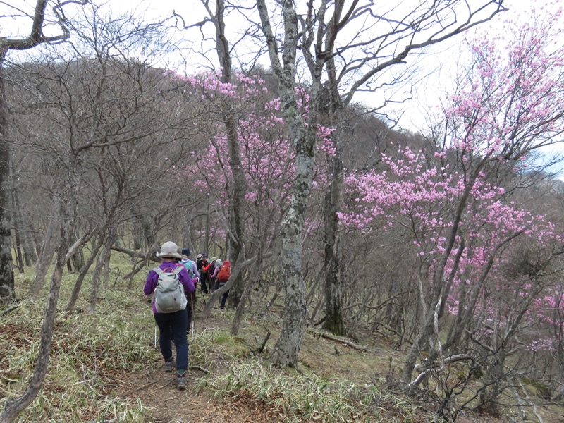 半月山登山