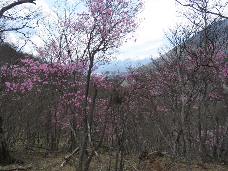 半月山登山