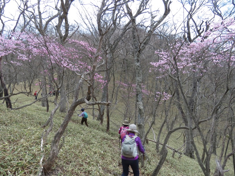 半月山登山