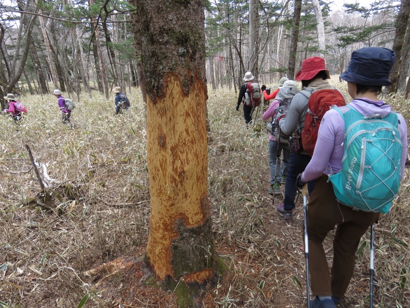 半月山登山