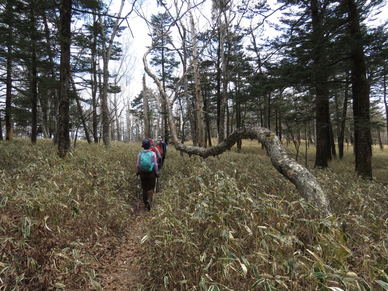 半月山登山