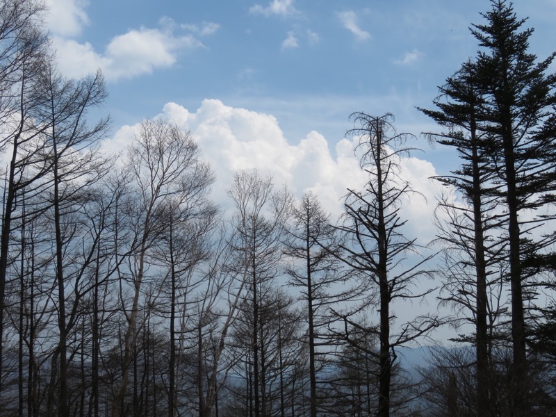 半月山登山