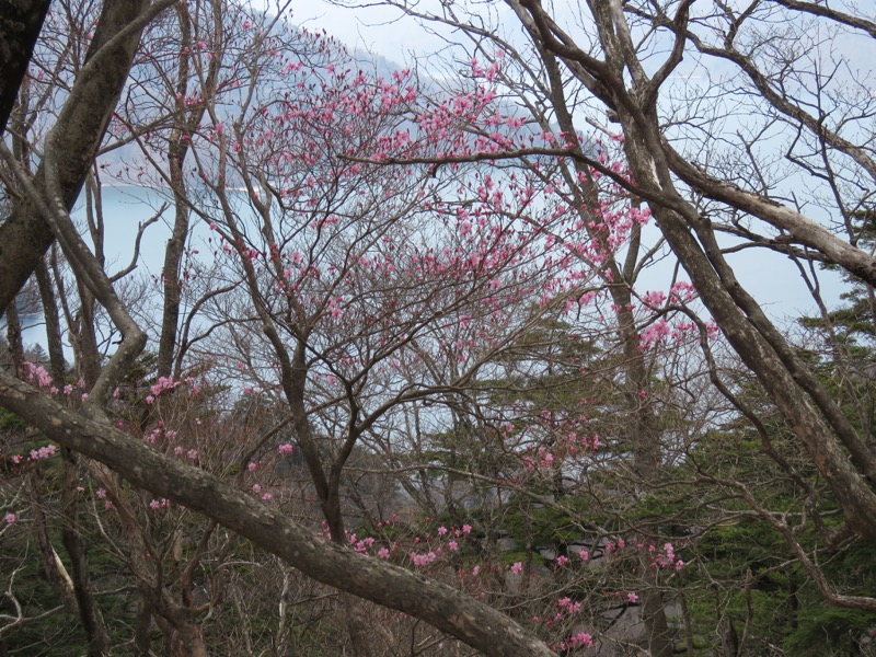 半月山登山