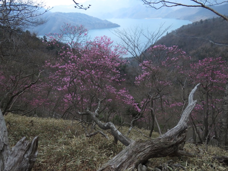 半月山登山