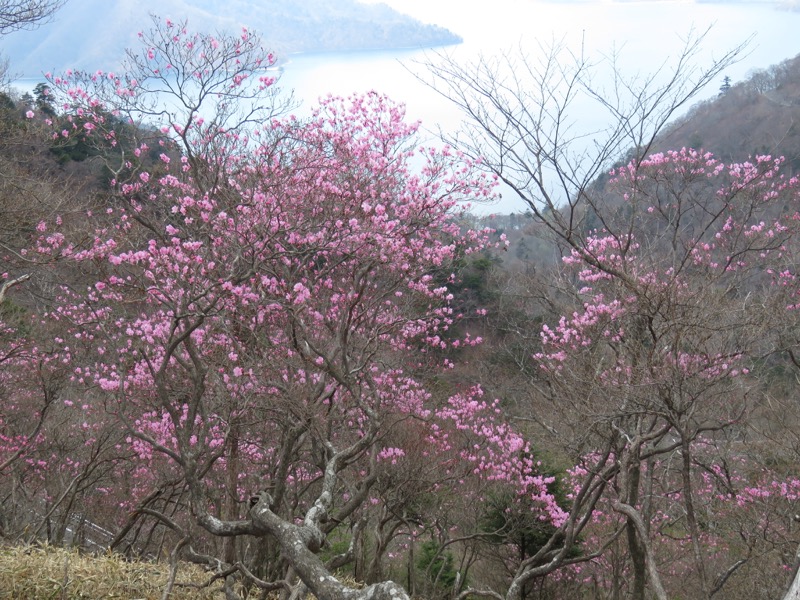 半月山登山