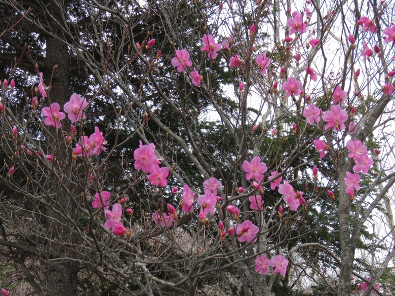 半月山登山