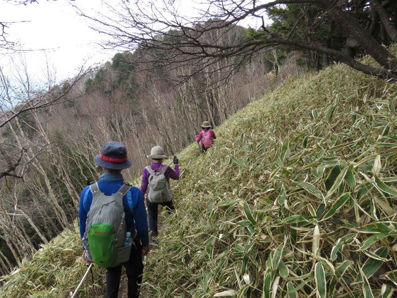 半月山登山