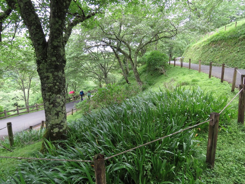 大台ヶ原〜大杉谷