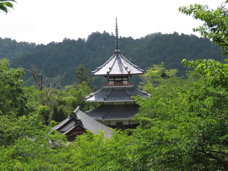 大台ヶ原〜大杉谷