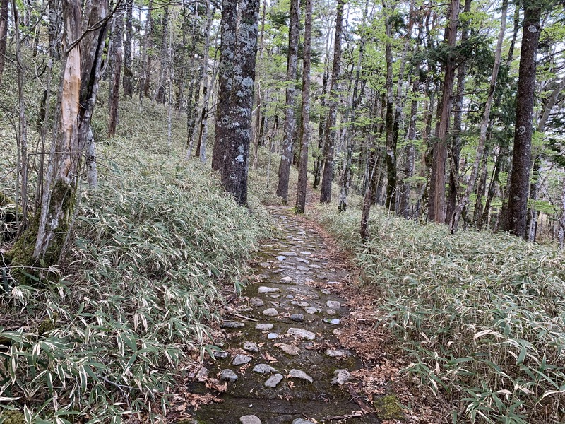 大台ヶ原〜大杉谷