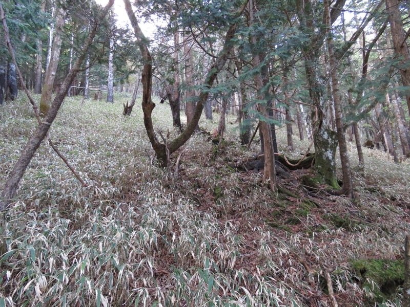 大台ヶ原〜大杉谷