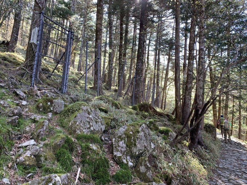 大台ヶ原〜大杉谷