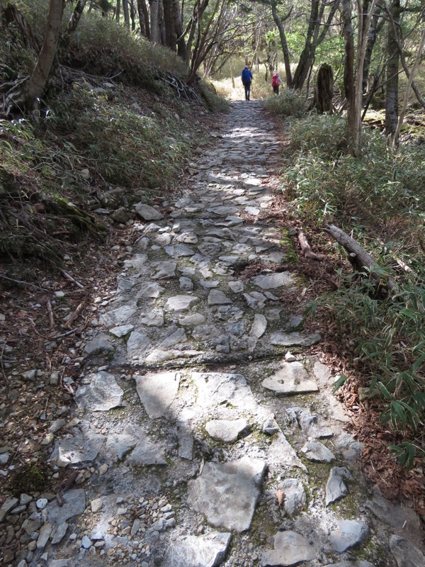 大台ヶ原〜大杉谷