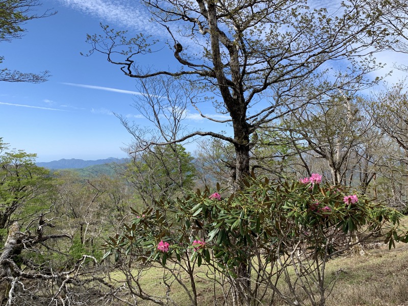 大台ヶ原〜大杉谷