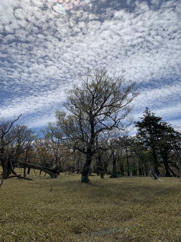 大台ヶ原〜大杉谷