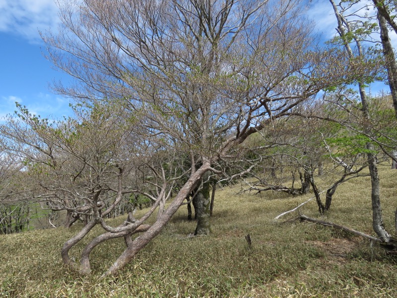 大台ヶ原〜大杉谷