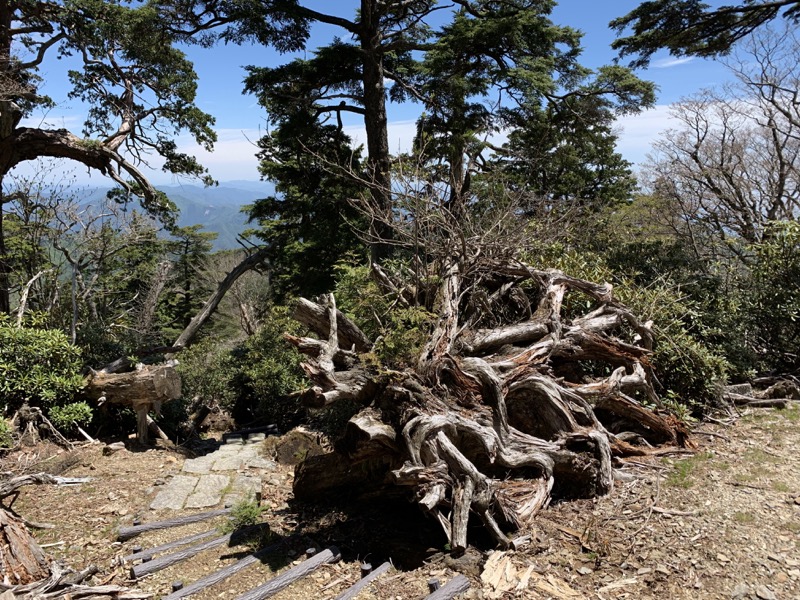 大台ヶ原〜大杉谷