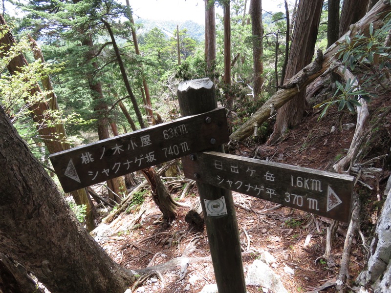 大台ヶ原〜大杉谷